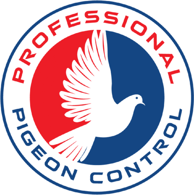 Professional Pigeon Control Company Phoenix Arizona